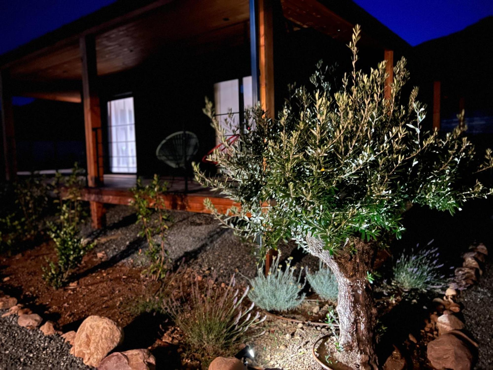 Villas Vallee D'Asco Moltifao Exterior photo