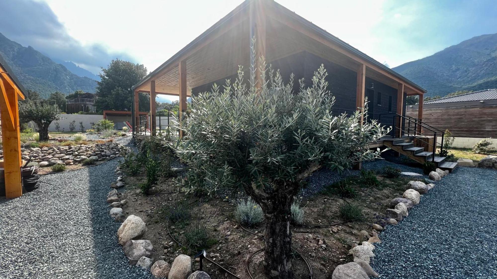 Villas Vallee D'Asco Moltifao Exterior photo