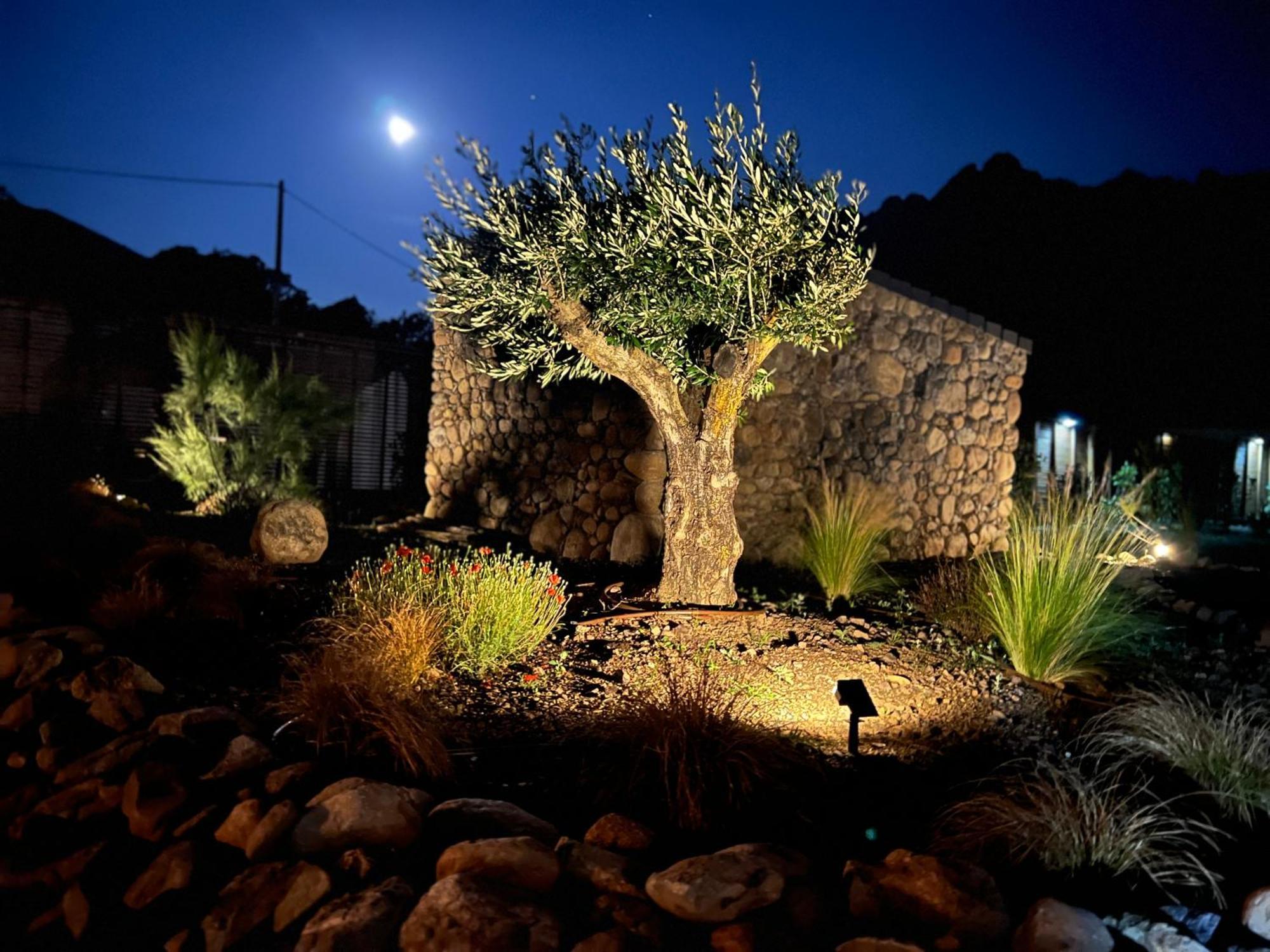 Villas Vallee D'Asco Moltifao Exterior photo