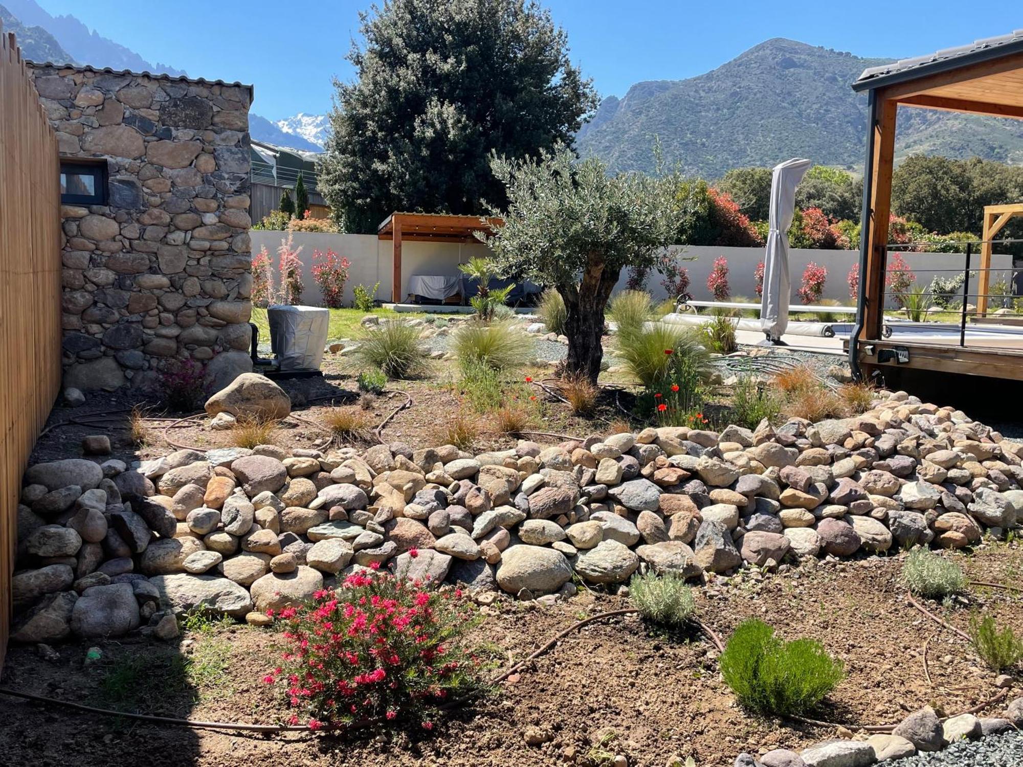 Villas Vallee D'Asco Moltifao Exterior photo